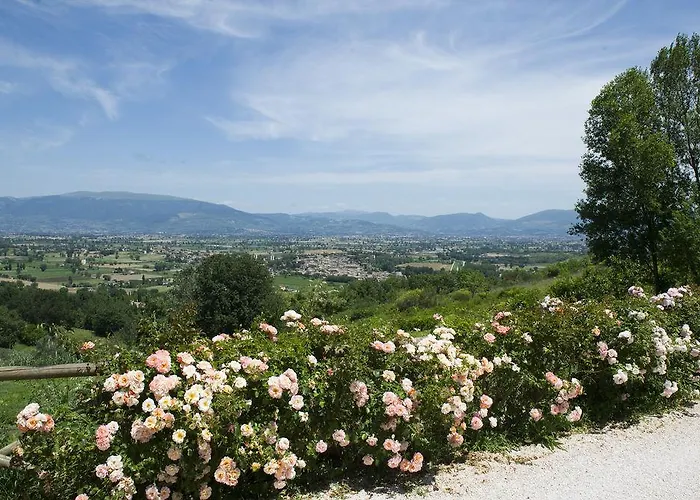 Il Poggio Dei Pettirossi